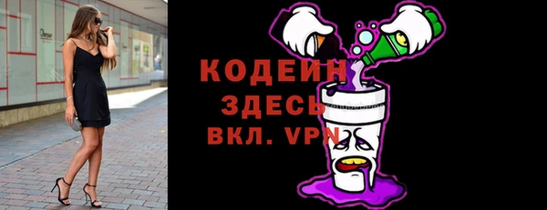дживик Пестово