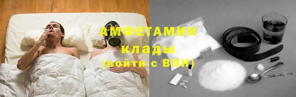 ECSTASY Пересвет