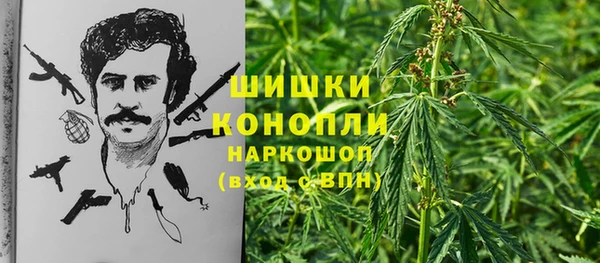 дживик Пестово