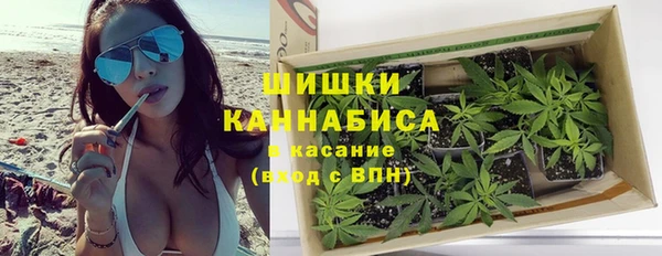 ECSTASY Пересвет