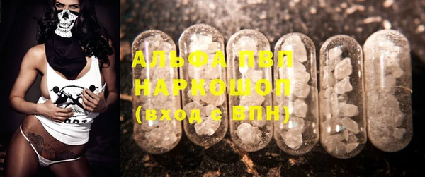 ECSTASY Пересвет