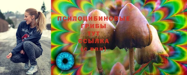 ECSTASY Пересвет
