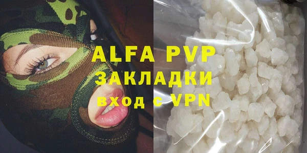 ECSTASY Пересвет
