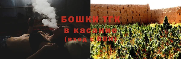 дживик Пестово