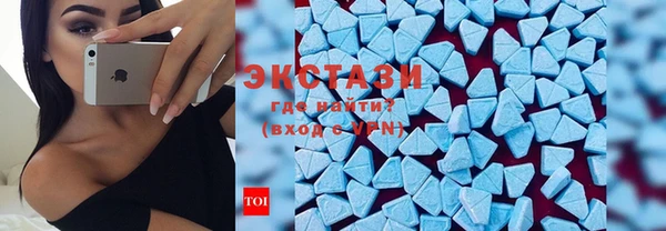 ECSTASY Пересвет