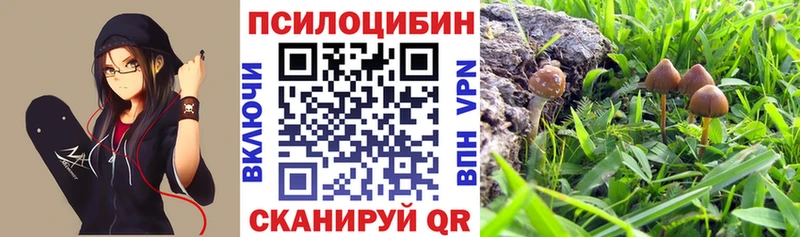 Купить где  Чухлома  Галлюциногенные грибы ЛСД 